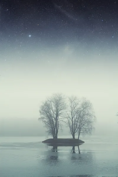 Gece lake Forest'ta. Nasa tarafından döşenmiş bu görüntü unsurları