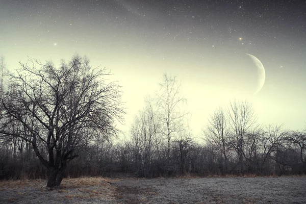 Country house at night. Elements of this image furnished by NASA — Stock Photo, Image