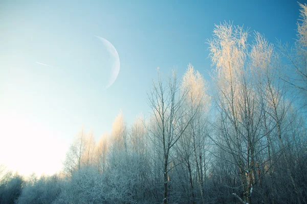 bir kış sabahında gün doğumu