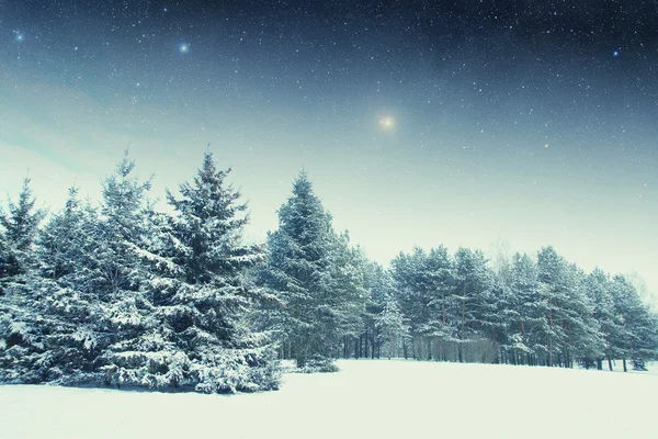 Nuit d'hiver dans le parc. Eléments de cette image fournis par NA — Photo