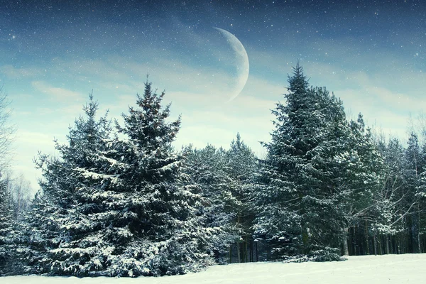 Winter night in the park. Elements of this image furnished by NA — Stock Photo, Image