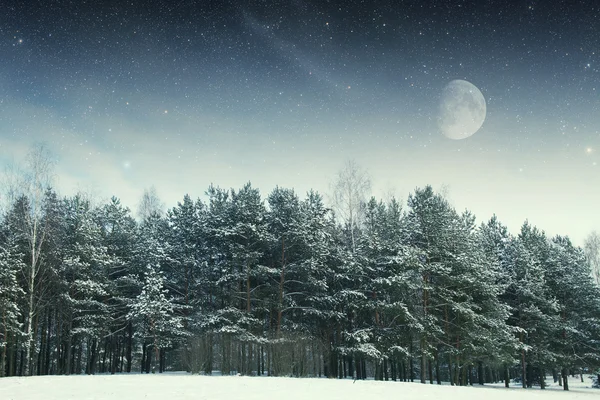 Winternacht im Park. Elemente dieses Bildes geliefert von na — Stockfoto