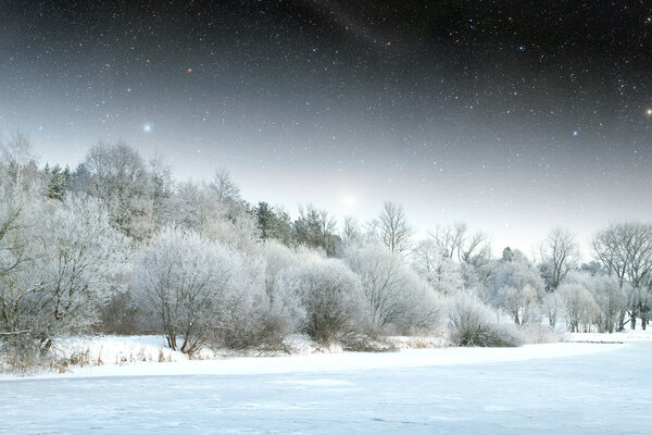 winter night in the park . Elements of this image furnished by N
