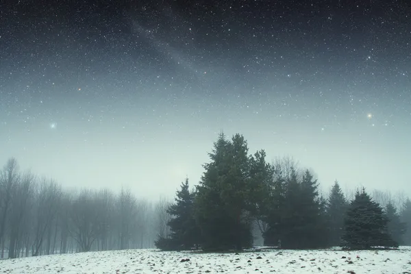Kış gecesi parkta. na tarafından döşenmiş bu görüntü unsurları