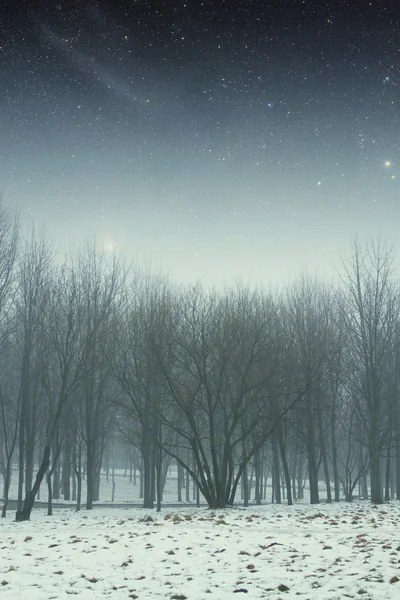 冬天的夜晚，在公园里。这幅图像由 na 装备的元素 — 图库照片
