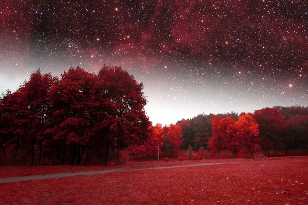 mistik bir bahar gecesi. Bu görüntü nasa tarafından döşenmiş unsurları 