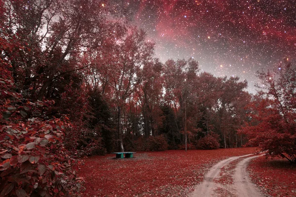 Spring night infrared photography. Elements of this image furnis — Stock Photo, Image