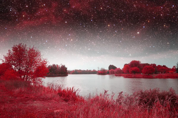 Мистическая весенняя ночь. Элементы этого изображения предоставлены НАСА — стоковое фото