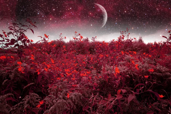 mistik bir bahar gecesi. Bu görüntü nasa tarafından döşenmiş unsurları 