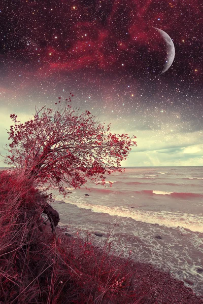 Kırmızı gece denizde. Bu görüntü nasa tarafından döşenmiş unsurları 