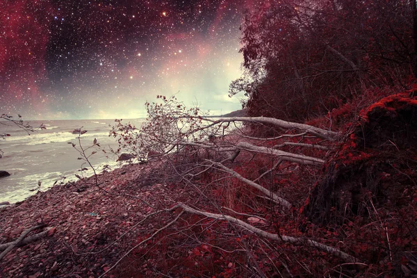 Noche roja en el mar. Elementos de esta imagen proporcionados por la NASA —  Fotos de Stock