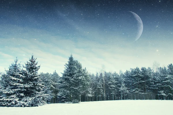 Noche de invierno en el parque. Elementos de esta imagen proporcionados por NA Imagen de stock