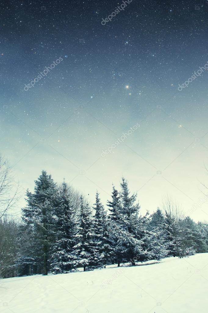 winter night in the park. Elements of this image furnished by NA