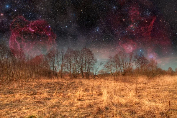Mystical spring night. Elements of this image furnished by NASA — Stock Photo, Image
