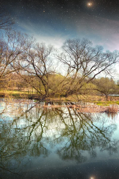 Spring in the parks and forests of Europe. Elements of this imag