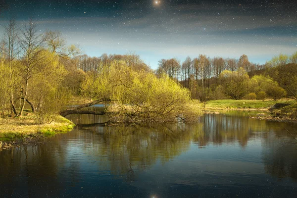 Primavera en los parques y bosques de Europa. Elementos de este imag —  Fotos de Stock