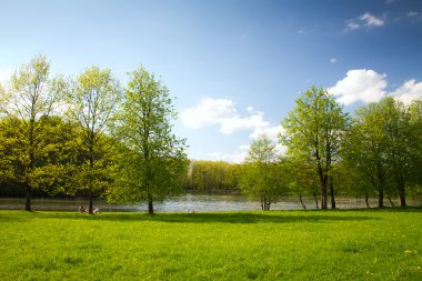 gökyüzü parkta ağaçların arasında görülebilir