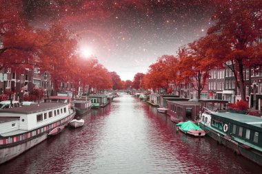 Amsterdam sonbahar gece. Bu görüntü nasa tarafından döşenmiş unsurları