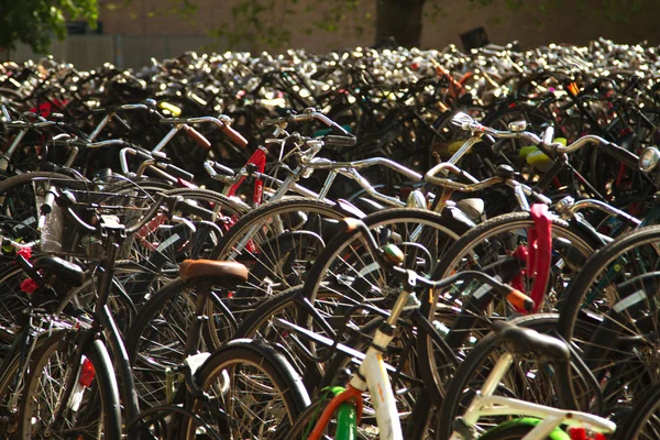 阿姆斯特丹自行车 — 图库照片