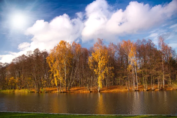 Krásný slunečný den v podzimním parku — Stock fotografie