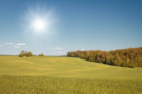 Schöner Herbst — Stockfoto