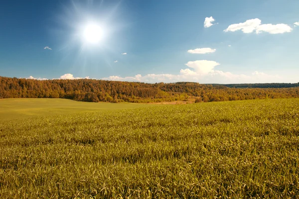 Beautiful autumn — Stock Photo, Image