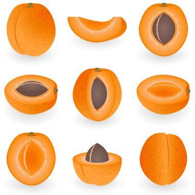 Kayısı Icon set