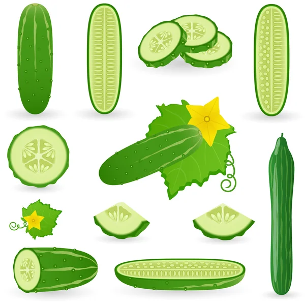 Set de iconos Pepino — Vector de stock