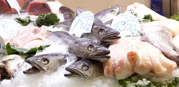 Fresh fishes in a market, in La Boqueria — Stock Photo, Image