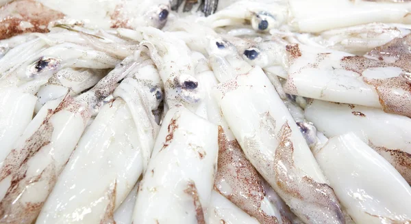 Calamares frescos expuestos en el mercado Barcelona —  Fotos de Stock