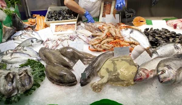 Свіжі риби на ринку — стокове фото