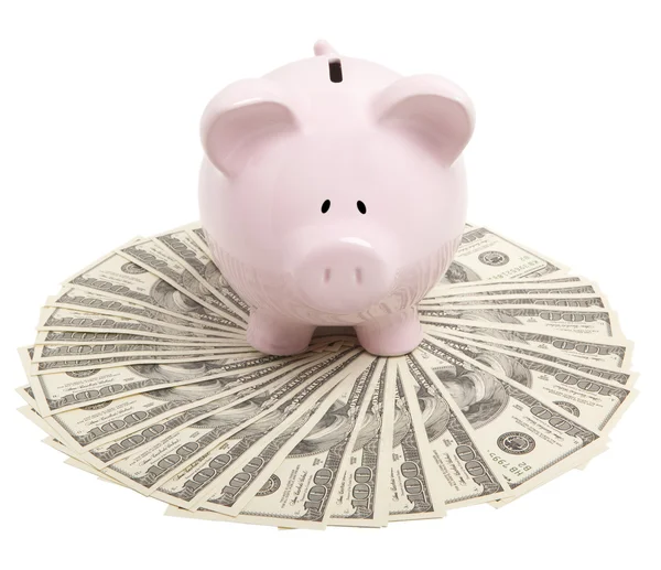 Roze piggy bank op dollar — Stockfoto