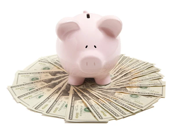 Rosa Sparschwein auf zwanzig Dollar — Stockfoto