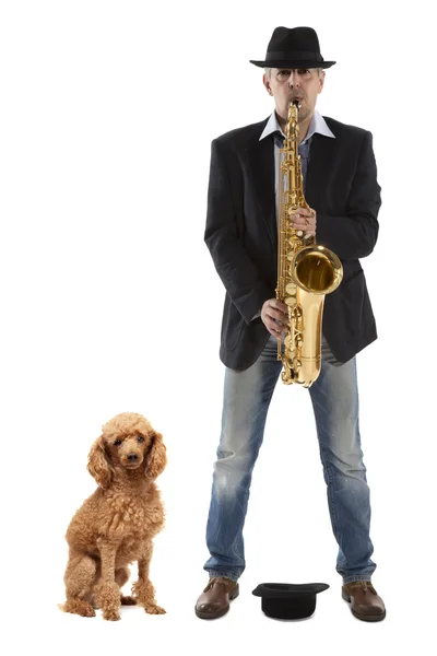 Саксофонист и собака — стоковое фото
