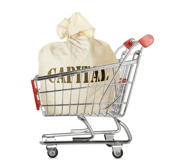 Capital en carrito de compras — Foto de Stock