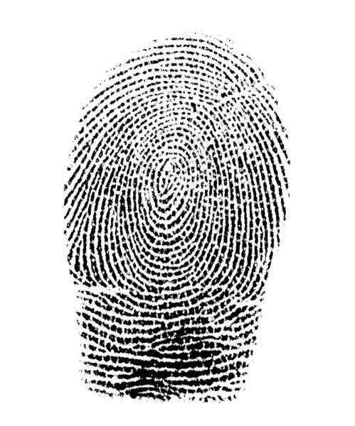 Real fingerprint