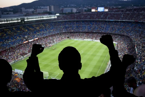 Happy soccer fans — Stock Photo, Image