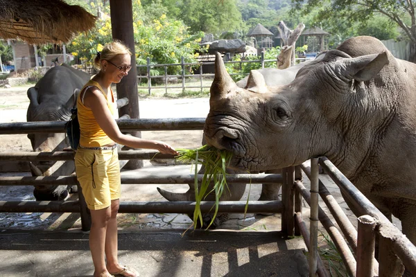 Zwarte neushoorn — Stockfoto