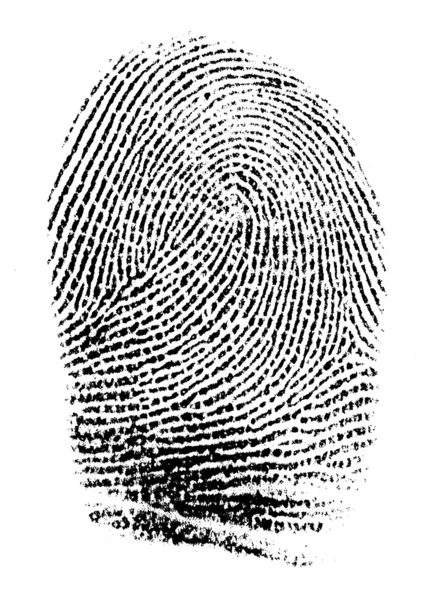 Real fingerprint — Stock Photo, Image