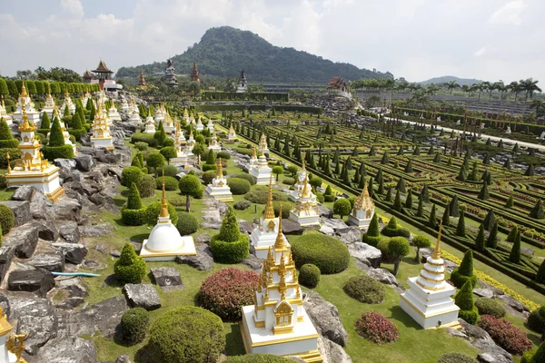 Tropikal Bahçe Pattaya — Stok fotoğraf