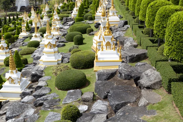 Tropikal Bahçe Pattaya — Stok fotoğraf