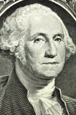 portre George washington makro 