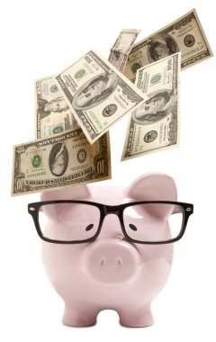 Gözlüklü domuz kumbarası