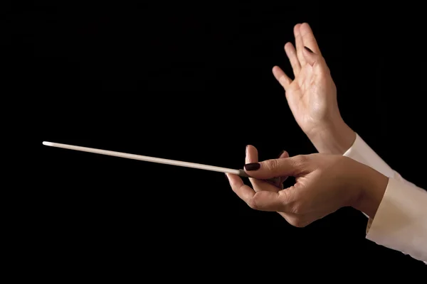 Music director holding stick — Stock Photo, Image