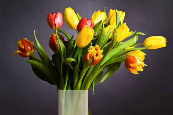 Tulpen — Stockfoto