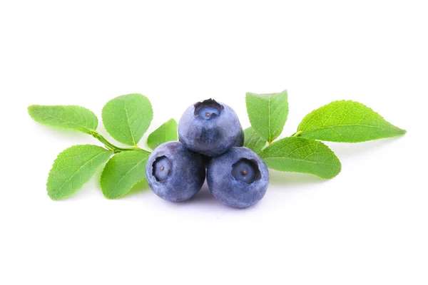 Blueberry Royalty Free Stock Images