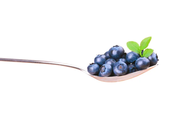 Blueberry — Stock Photo, Image