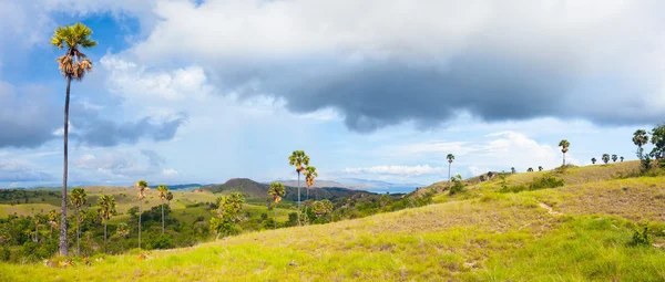 Rinca-panorama — Stockfoto