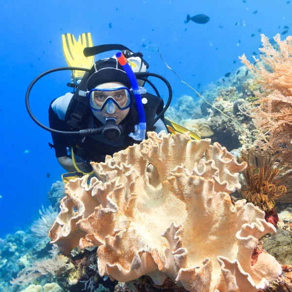 Scuba潜水员 — 图库照片