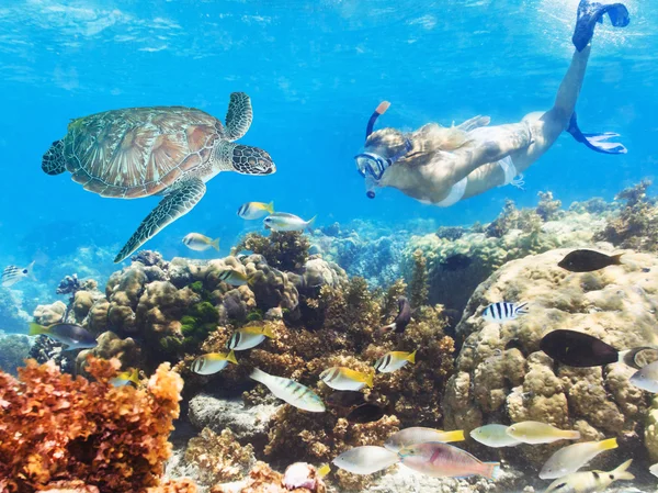 Diver och sköldpadda — Stockfoto